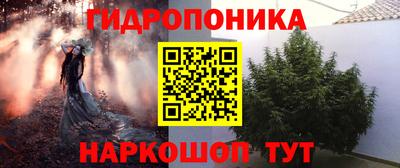 скорость Канаш