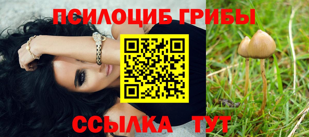 где можно купить наркотик  Вход с VPN  Краснокаменск  Псилоцибиновые грибы мухоморы 